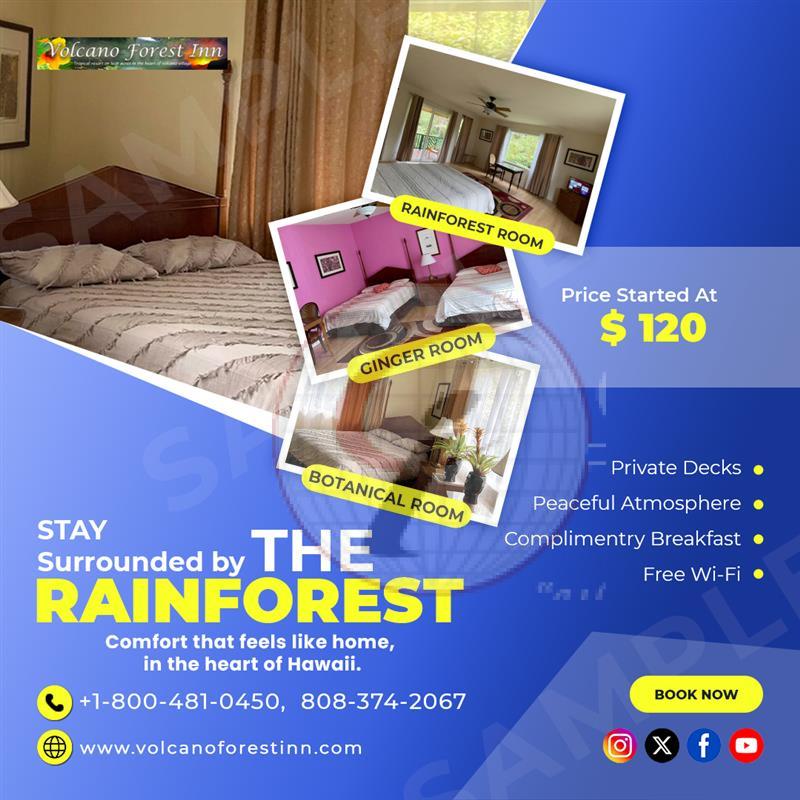 Volcano Forest Inn