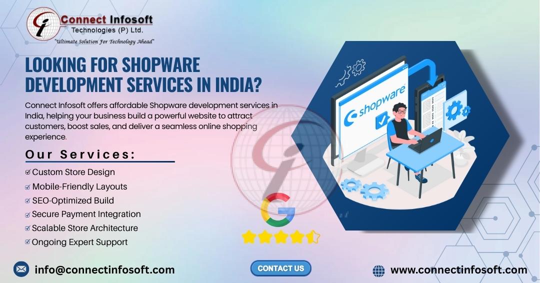 looking for shopware development service