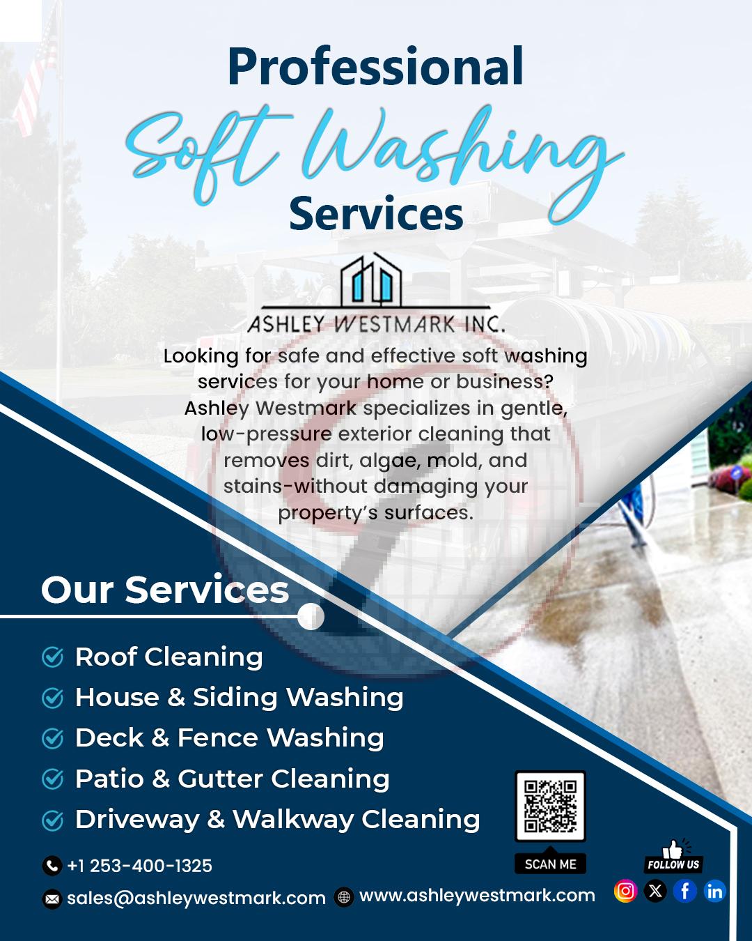 professional soft washing services