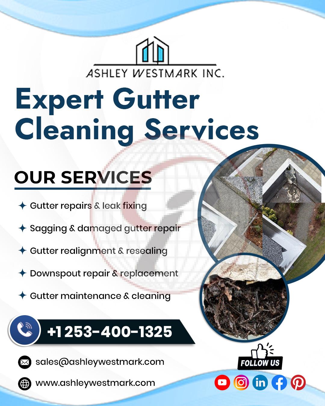 Expert Gutter Cleaning Services