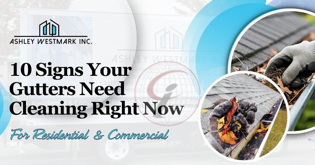 Expert Gutter Cleaning & Protection Services