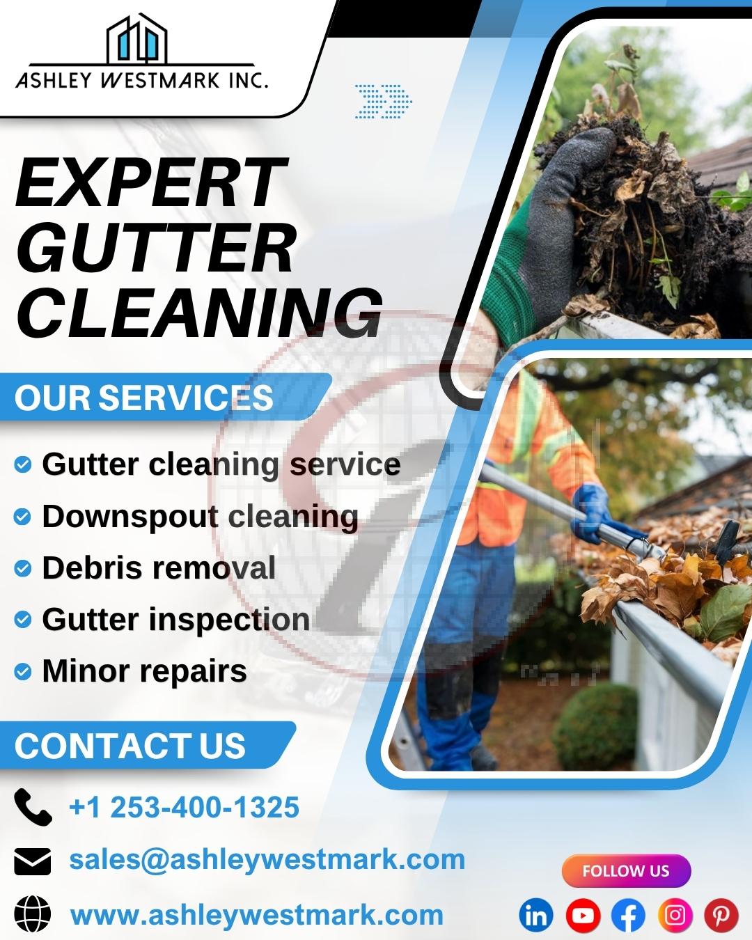 Expert Gutter Cleaning