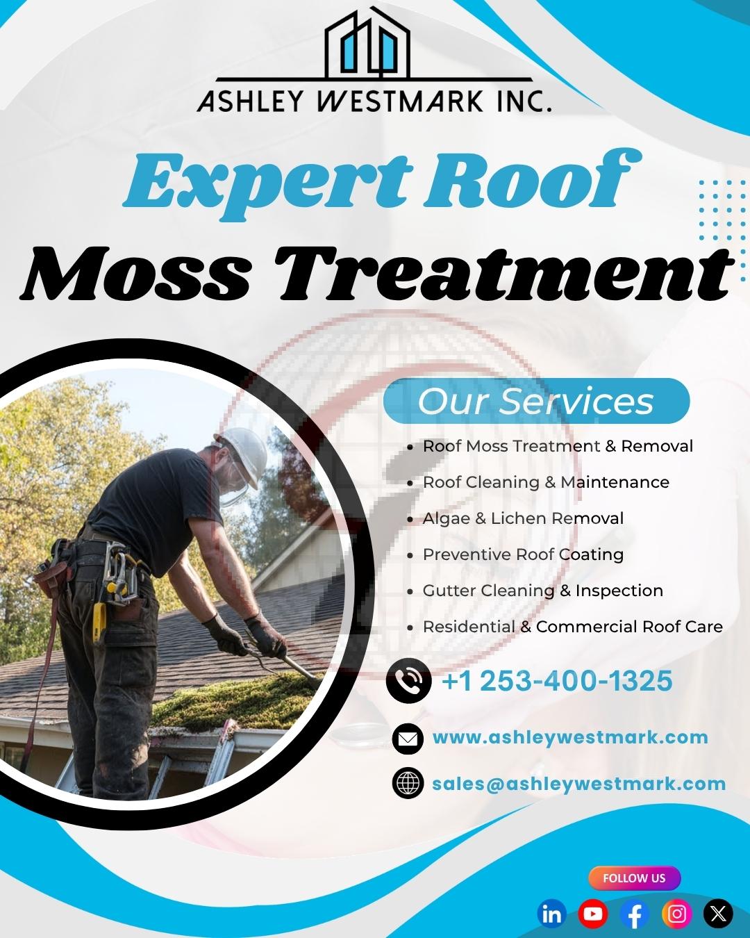 Expert Roof Moss Treatment