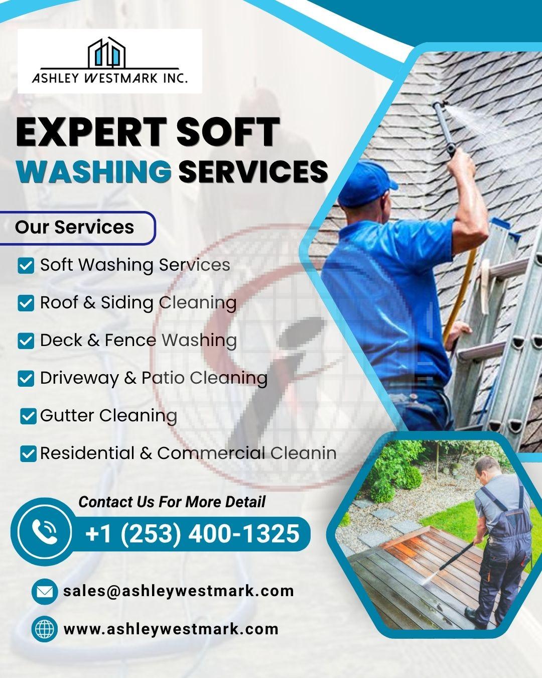 Expert Soft Washing Services