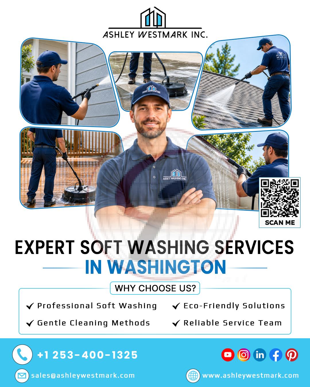 Expert Soft Washing Services in Washington